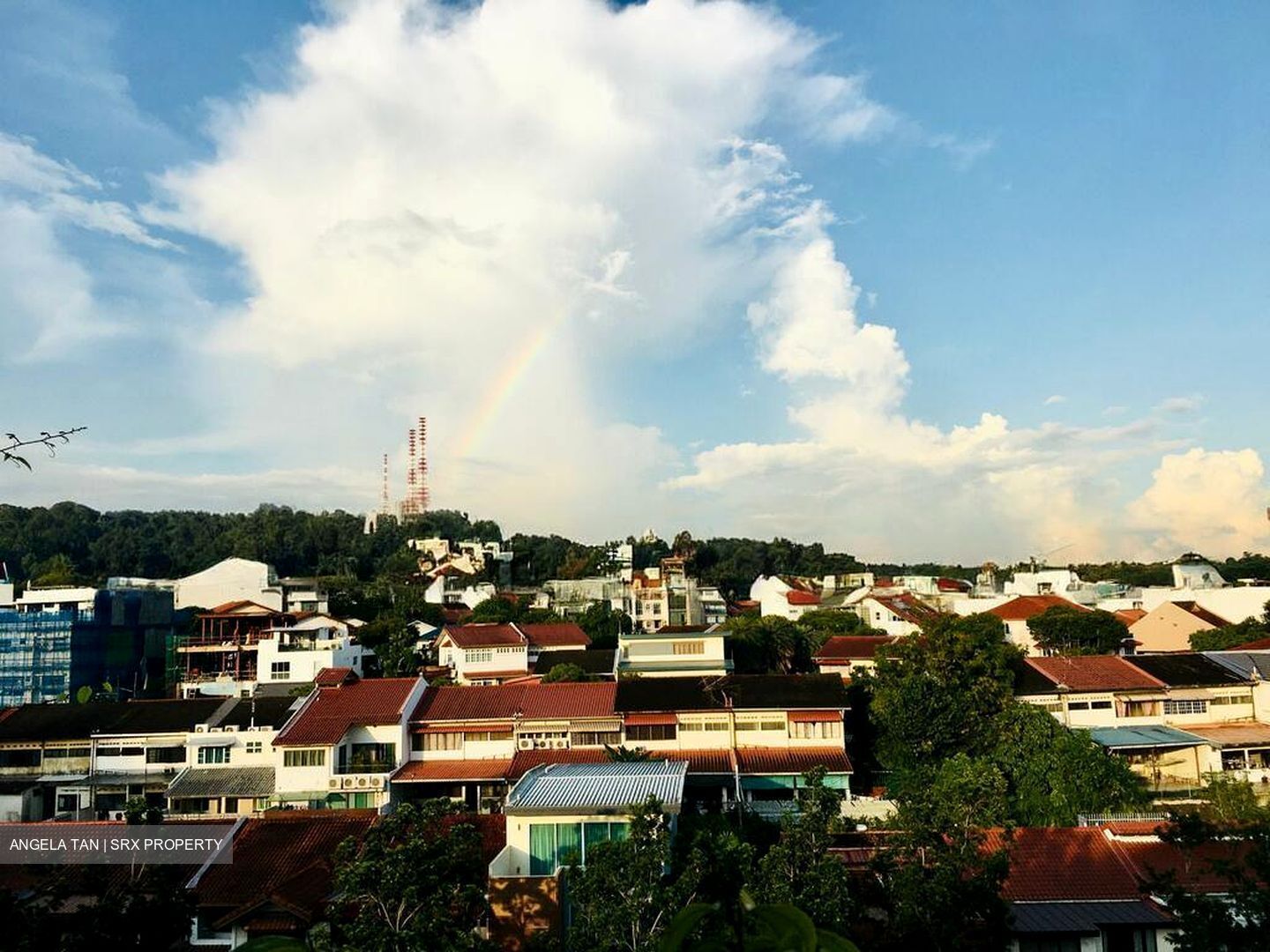 Terrene At Bukit Timah (D21), Condominium #499328251